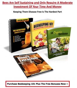 Beekeeping 101 Online Course & Bonuses