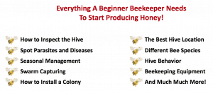 Beekeeping 101 course