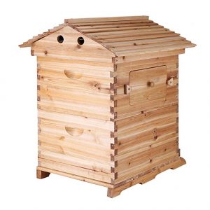 Vevor Beehive - How to start a bee hive