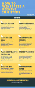 How to Winterize a Beehive in 8 Steps